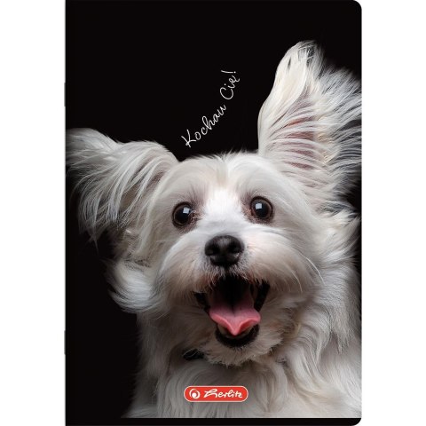 Zeszyt Animals A5 16k. 70g krata kolorowa Herlitz (400196855)