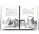 Książka dla dzieci Ameet HORSE CLUB. Niesamowity jeździec (CBH 8401)