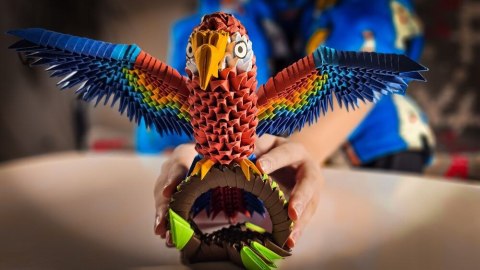 Origami Alexander Papuga/Parrot Origami Alexander Papuga/Parrot