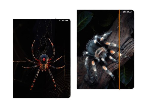 Teczka kartonowa na gumkę Pająk A4 mix Starpak (559732) Teczka kartonowa na gumkę Pająk A4 mix Starpak (559732)