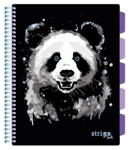 Kołozeszyt (kołobrulion) Strigo PANDA A4 100k. 80g krata (PADS021)