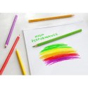 Kredki ołówkowe Faber Castell Grip 24 kol. (112424)