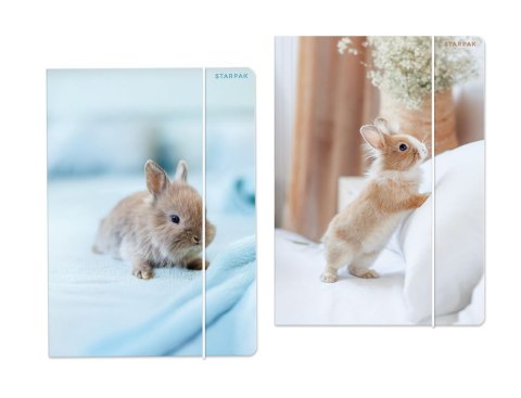 Teczka kartonowa na gumkę Królik A4 mix Starpak (559727) Teczka kartonowa na gumkę Królik A4 mix Starpak (559727)