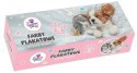 Farby plakatowe Beniamin The Sweet Pets kolor: mix 20ml 12 kolor. (2266)