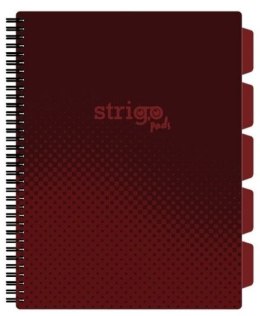 Kołozeszyt (kołobrulion) Strigo BASIC BORDOWY A4 100k. 80g krata (PADS056)