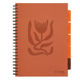 Kołozeszyt (kołobrulion) Strigo FLORAL CEGLANY A4 100k. 80g krata (PADS043)