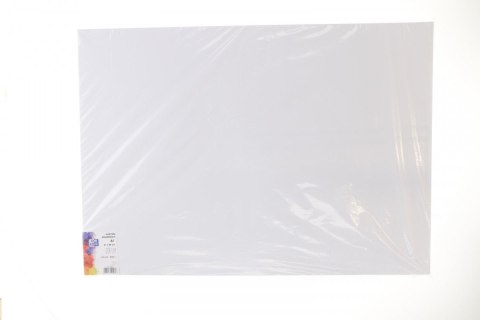 Brystol Creatinio biały A1 biały 250g 1k (400173613) Brystol Creatinio biały A1 biały 250g 1k (400173613)