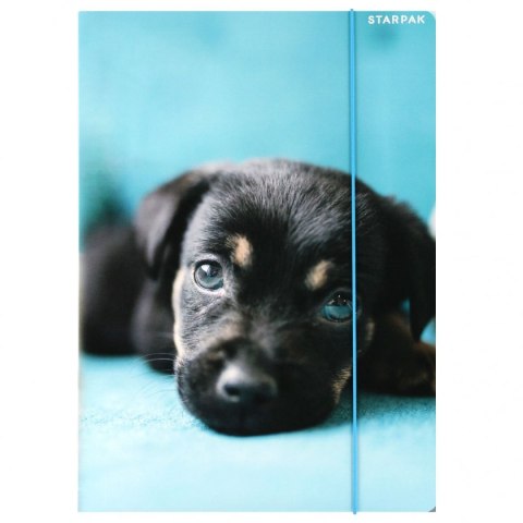 Teczka kartonowa na gumkę Pieski A4 mix Starpak (559719)