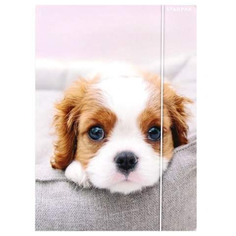 Teczka kartonowa na gumkę Pieski A4 mix Starpak (559719)