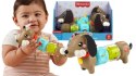 Zabawka edukacyjna Fisher Price jamnik aktywizujący (HTW91)