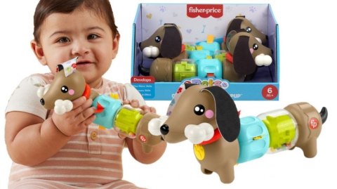 Zabawka edukacyjna Fisher Price jamnik aktywizujący (HTW91) Zabawka edukacyjna Fisher Price jamnik aktywizujący (HTW91)