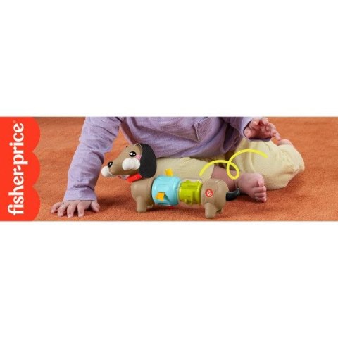Zabawka edukacyjna Fisher Price jamnik aktywizujący (HTW91) Zabawka edukacyjna Fisher Price jamnik aktywizujący (HTW91)