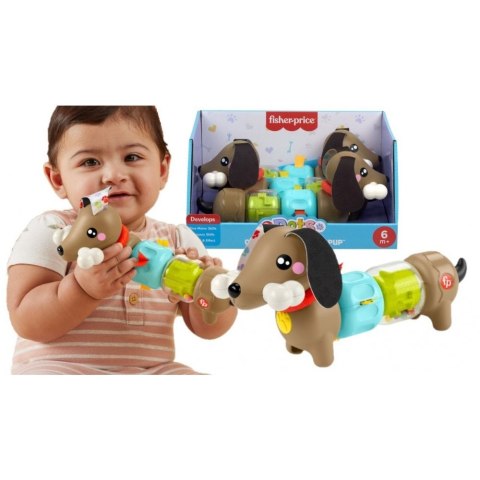 Zabawka edukacyjna Fisher Price jamnik aktywizujący (HTW91) Zabawka edukacyjna Fisher Price jamnik aktywizujący (HTW91)