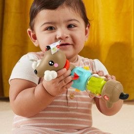 Zabawka edukacyjna Fisher Price jamnik aktywizujący (HTW91) Zabawka edukacyjna Fisher Price jamnik aktywizujący (HTW91)