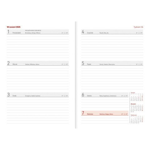 Kalendarz nauczyciela książkowy (terminarz) GRANAT NEBRASKA Z GUMKĄ A5 Wydawnictwo Wokół Nas (A5TN070B-) Kalendarz nauczyciela książkowy (terminarz) GRANAT NEBRASKA Z GUMKĄ A5 Wydawnictwo Wokół Nas (A5TN070B-)