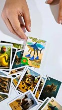 Karty Alexander Tralalero Tralala 25 sztuk