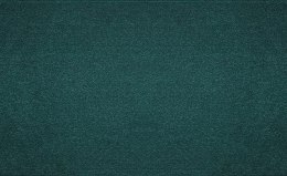 Wstążka Titanum Craft-Fun Series satynowa 100x25 [mm x m] zielony butelkowy (TS100-012B)