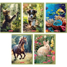 Zeszyt Animals A5 16k. 70g gładki Herlitz (400196854)