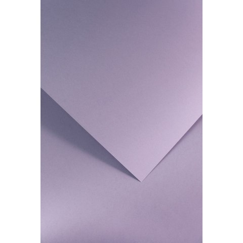 Papier ozdobny (wizytówkowy) Galeria Papieru gładki lawendowy satynowany A4 lawendowy 210g (205505) Papier ozdobny (wizytówkowy) Galeria Papieru gładki lawendowy satynowany A4 lawendowy 210g (205505)