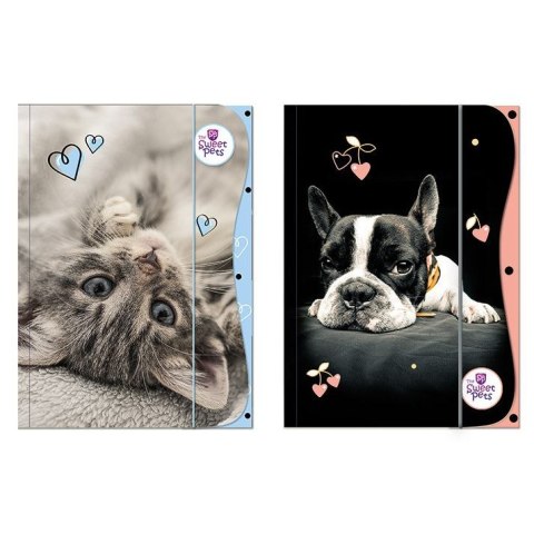 Teczka kartonowa na gumkę THE SWEET PETS A4 mix Beniamin (2573) Teczka kartonowa na gumkę THE SWEET PETS A4 mix Beniamin (2573)