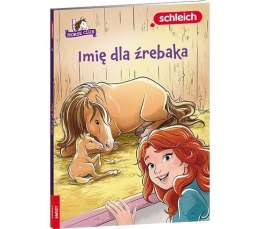 Książeczka edukacyjna Ameet HORSE CLUB. Imię dla źrebaka (LNR 8401)