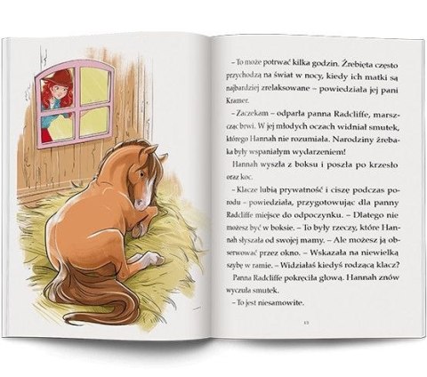 Książeczka edukacyjna Ameet HORSE CLUB. Imię dla źrebaka (LNR 8401) Książeczka edukacyjna Ameet HORSE CLUB. Imię dla źrebaka (LNR 8401)