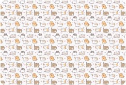 Podkład na biurko Biurfol KITTENS mix PVC PCW (PSN-A3-35)