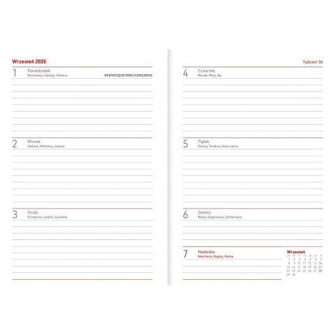 Kalendarz nauczyciela książkowy (terminarz) PCV KOTY bezbarwny B6 Wydawnictwo Wokół Nas (A5TN089B)