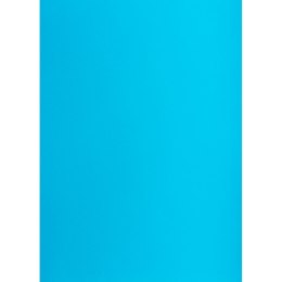Brystol TOP-2000 jasny A1 niebieski 160g 25k [mm:] 610x860 (400149565)