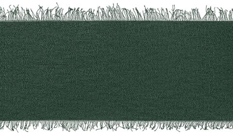 Wstążka Craft-Fun Series szyfonowa strzępiona 40x10 [mm x m] zielony butelkowy Titanum (WJ40-10-012B)