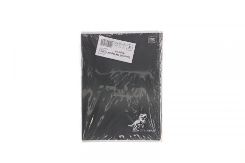 Zeszyt Interdruk BOYS mix A5 60k. 70g krata (5902277366306)