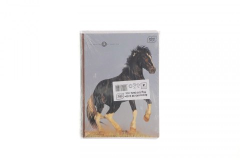 Zeszyt Interdruk GIRLS A5 32k. 70g linia kolor Zeszyt Interdruk GIRLS A5 32k. 70g linia kolor