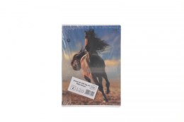 Zeszyt Interdruk WILD HORSES A5 32k. 70g krata