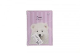 Zeszyt Interdruk PUPPY SIGN A5 32k. 70g linia kolor