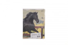 Zeszyt Interdruk WILD HORSES A5 32k. 70g linia kolor