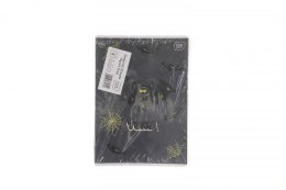 Zeszyt Interdruk YUHU A5 16k. 70g linia kolor