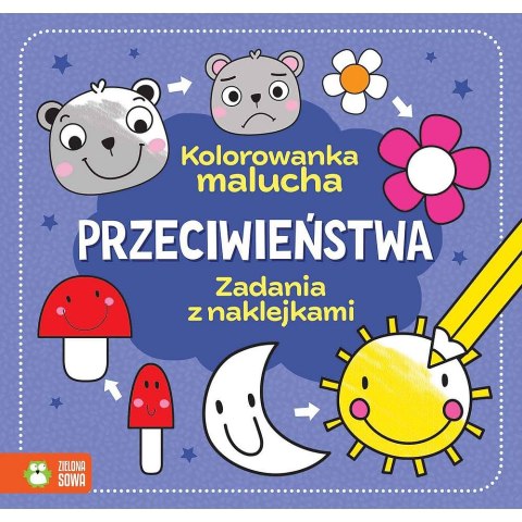 Książeczka edukacyjna Zielona Sowa Przeciwieństwa. Książeczka edukacyjna Zielona Sowa Przeciwieństwa.
