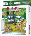 Gra edukacyjna BrainBox - Pocket - Niebezpieczne zwierzęta Rebel (5902650619982) Gra edukacyjna BrainBox - Pocket - Niebezpieczne zwierzęta Rebel (5902650619982)