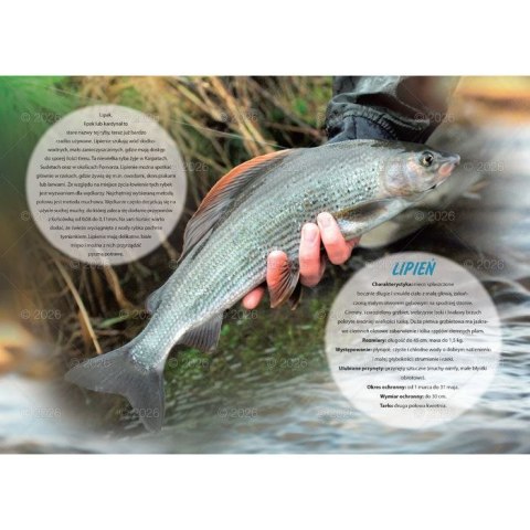 Kalendarz ścienny wędkarski rodzinny 280mm x 200mm Lucrum (WL14) Kalendarz ścienny wędkarski rodzinny 280mm x 200mm Lucrum (WL14)