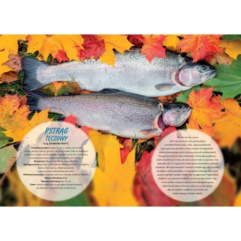 Kalendarz ścienny wędkarski rodzinny 280mm x 200mm Lucrum (WL14) Kalendarz ścienny wędkarski rodzinny 280mm x 200mm Lucrum (WL14)