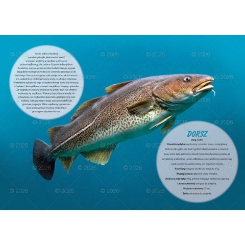 Kalendarz ścienny wędkarski rodzinny 280mm x 200mm Lucrum (WL14) Kalendarz ścienny wędkarski rodzinny 280mm x 200mm Lucrum (WL14)