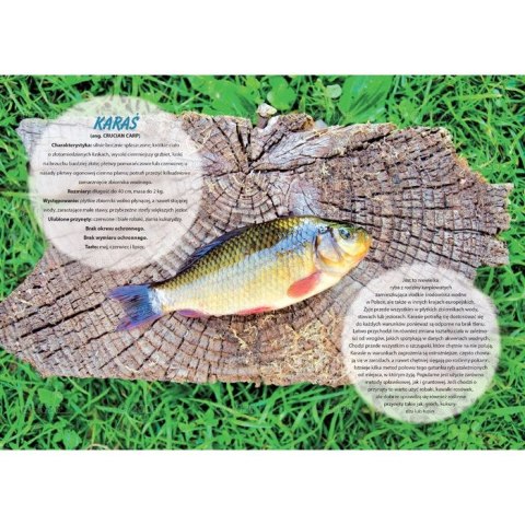 Kalendarz ścienny wędkarski rodzinny 280mm x 200mm Lucrum (WL14) Kalendarz ścienny wędkarski rodzinny 280mm x 200mm Lucrum (WL14)