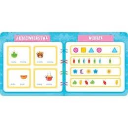 Książka dla dzieci lOGIKA. PRZEDSZKOLAK MYŚLI, UCZY SIĘ I NAKLEJA