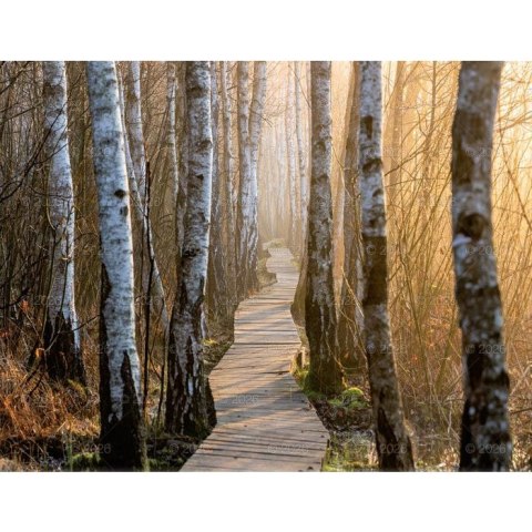 Kalendarz ścienny 13-planszowe 320mm x 470mm Lucrum (RW04) Kalendarz ścienny 13-planszowe 320mm x 470mm Lucrum (RW04)