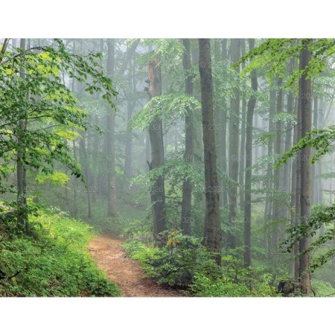 Kalendarz ścienny 13-planszowe 320mm x 470mm Lucrum (RW04) Kalendarz ścienny 13-planszowe 320mm x 470mm Lucrum (RW04)