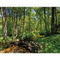 Kalendarz ścienny 13-planszowe 320mm x 470mm Lucrum (RW04)