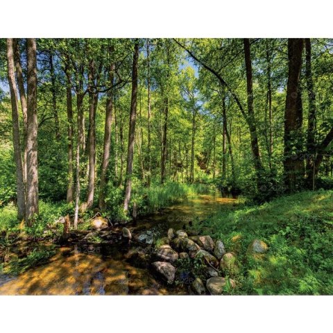 Kalendarz ścienny 13-planszowe 320mm x 470mm Lucrum (RW04) Kalendarz ścienny 13-planszowe 320mm x 470mm Lucrum (RW04)