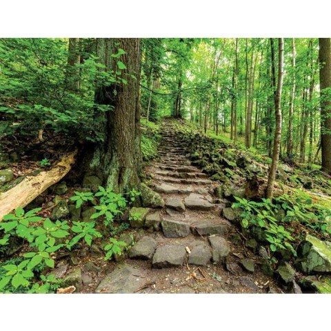 Kalendarz ścienny 13-planszowe 320mm x 470mm Lucrum (RW04) Kalendarz ścienny 13-planszowe 320mm x 470mm Lucrum (RW04)