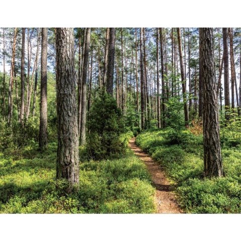 Kalendarz ścienny 13-planszowe 320mm x 470mm Lucrum (RW04) Kalendarz ścienny 13-planszowe 320mm x 470mm Lucrum (RW04)