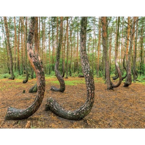 Kalendarz ścienny 13-planszowe 320mm x 470mm Lucrum (RW04) Kalendarz ścienny 13-planszowe 320mm x 470mm Lucrum (RW04)